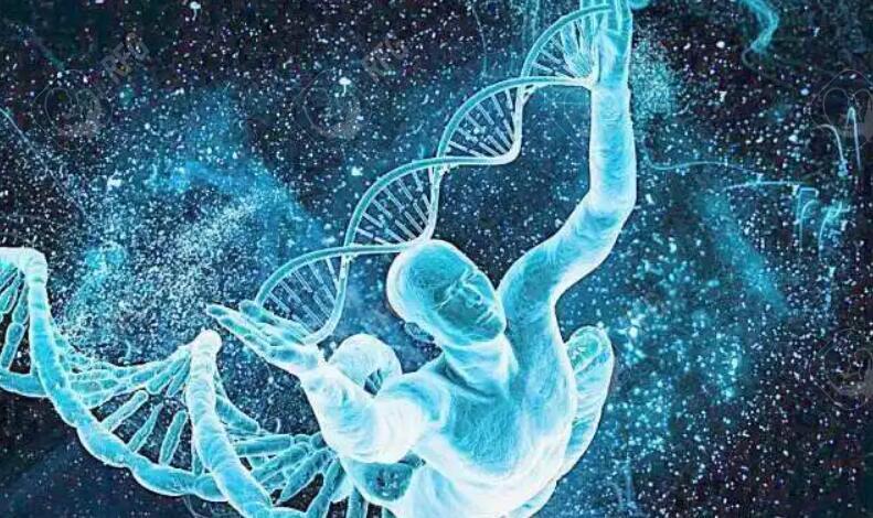 泰国试管婴儿成功率解析：真实数据与关键影响因素全揭秘