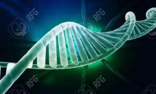 河北省试管婴儿医院排名前十强：成功率及特色解析