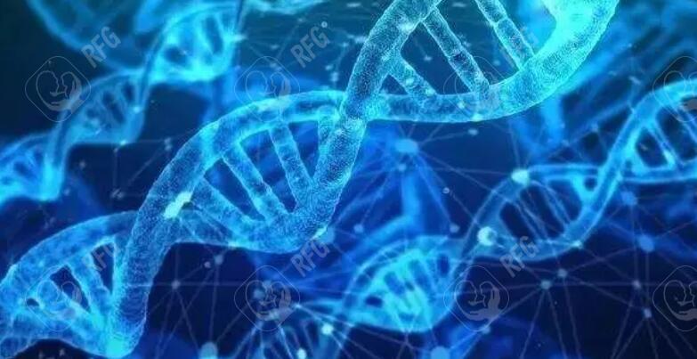 大连试管婴儿医院排名前十推荐：成功率与费用全面解析