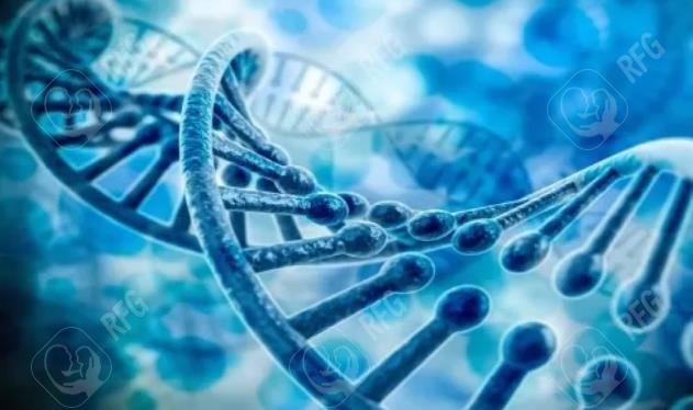 多囊卵巢综合征患者能否进行人工授精？专家解读适应症与流程