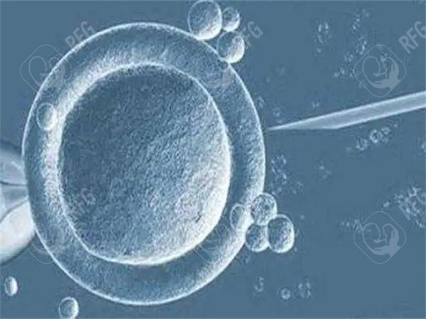 2025年哈尔滨做试管婴儿多少钱一次？公开试管费用详细！