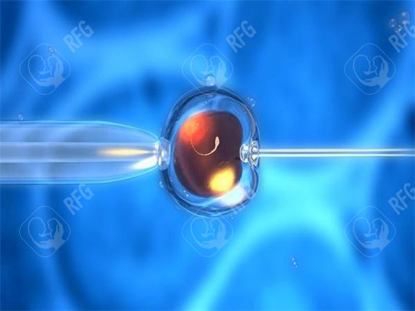 2025怀化三代试管费用是怎样的?详细数据供你参考