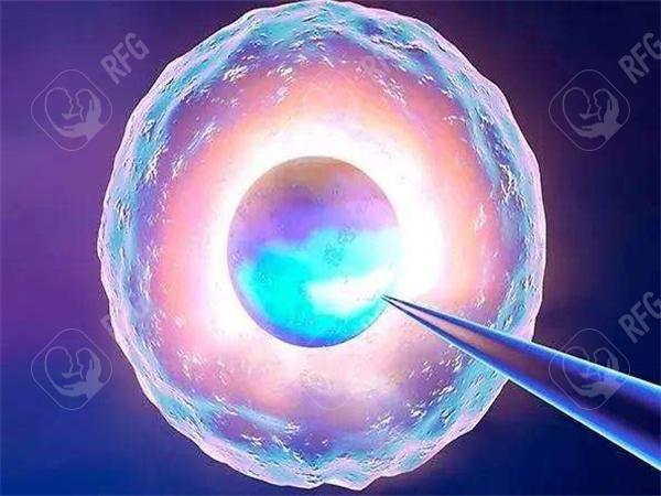 试管婴儿能否一次成功？哈尔滨三代试管高成功率医院权威解答！