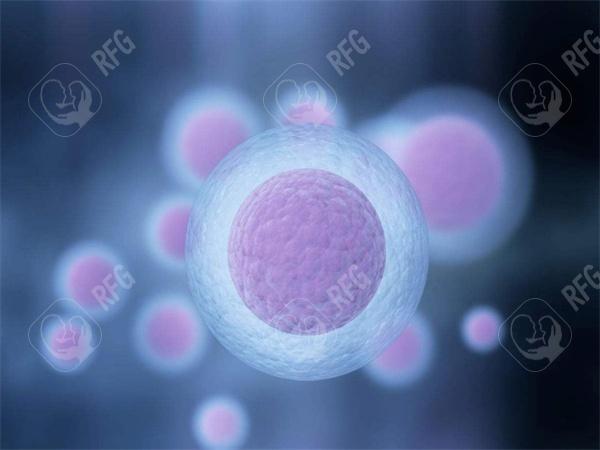 哈尔滨做试管婴儿哪家好？哈尔滨哪个医院做试管婴儿好?