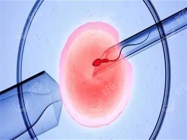 2025怀化试管婴儿成功率数据曝光！哪代试管技术更值得选择！