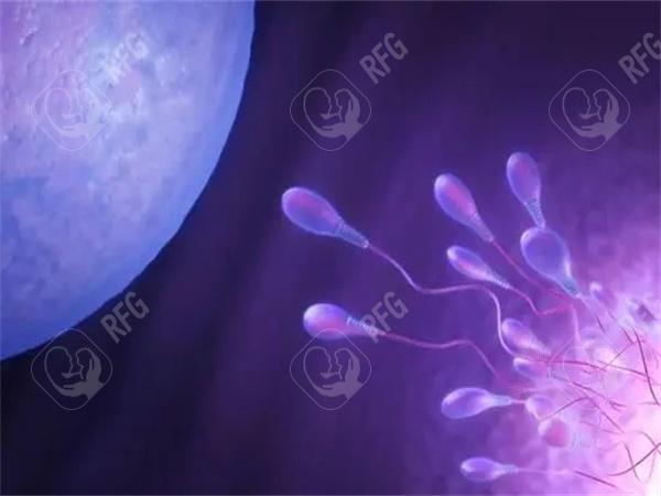 哈尔滨三代试管成功率高的医院有哪些，哈尔滨三代试管效果好的医院榜单有哪些？
