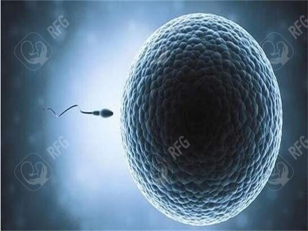 2025连云港第三代试管婴儿费用全解析，30秒速览各项目花费！