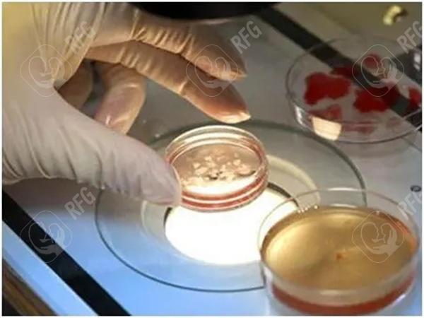 怀化哪些试管婴儿医院能做单身试管婴儿？医院排名帮你做出选择