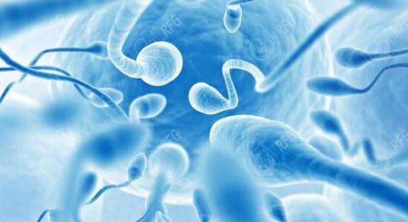 做试管婴儿男性精子差有什么影响?昆明看试管婴儿医院
