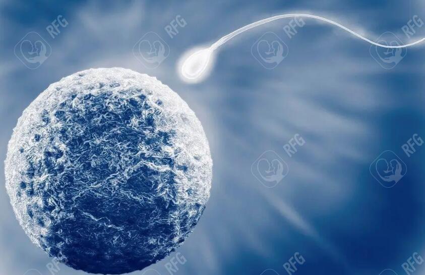 玉林市妇幼保健院可以做试管婴儿吗？成功率吗？