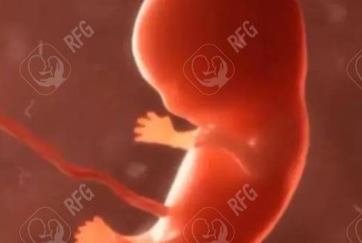 海外做试管婴儿要多少钱？国外试管婴儿助孕费用？