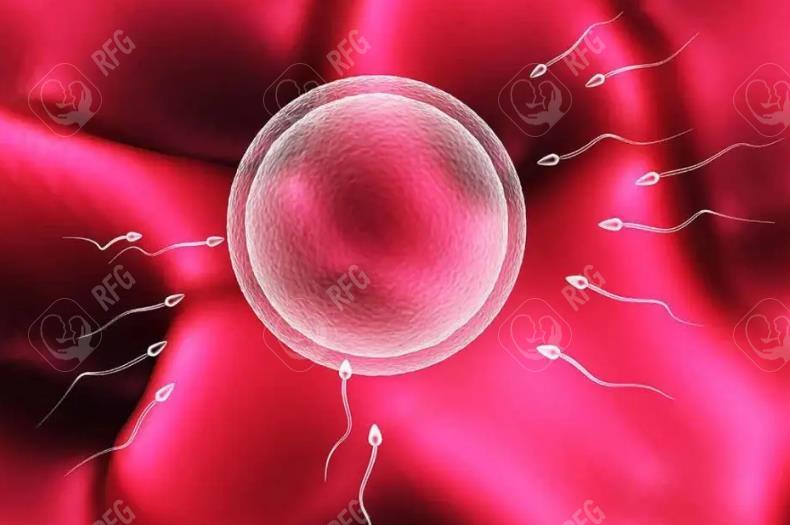 2025福州做试管婴儿的条件，健康状况是否达标很重要