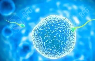 2025年俄罗斯试管婴儿需要哪些手续？去俄罗斯做试管的程序