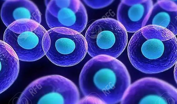 2025年在俄罗斯做试管婴儿要多少钱？需要注意哪些事项？