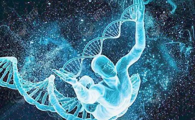 胚胎移植后不打黄体酮会怎么样，有这些危害患者请重视