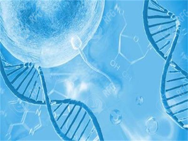 2025年乌兰察布市能做第三代试管婴儿的医院有哪些？能用社保报销吗？