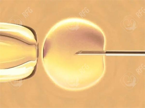 2025年在邵东市做试管婴儿怎么样？大概要花多少钱？