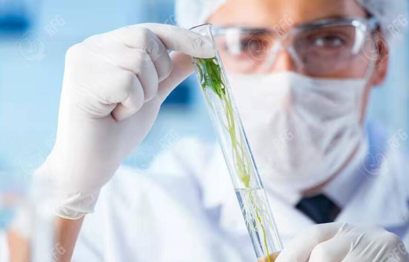 45岁绝经试管成功率高吗？影响高龄试管成功率的因素及调理建议