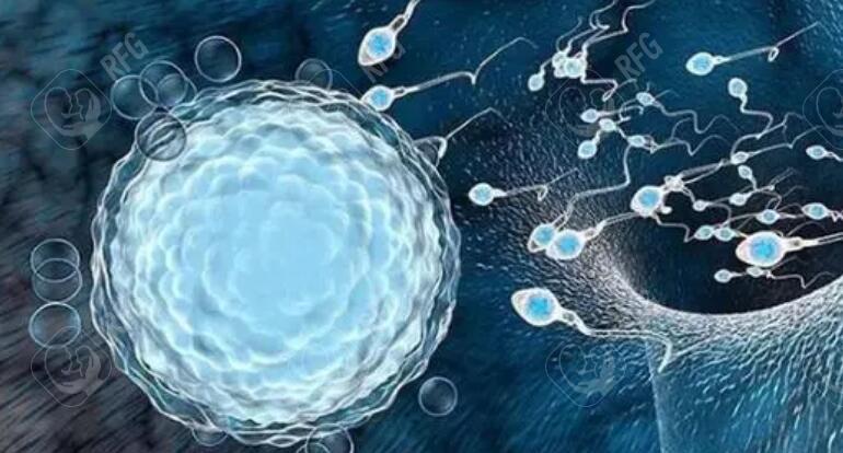 平衡易位做试管男方重点：精子染色体完整性检测必要性分析