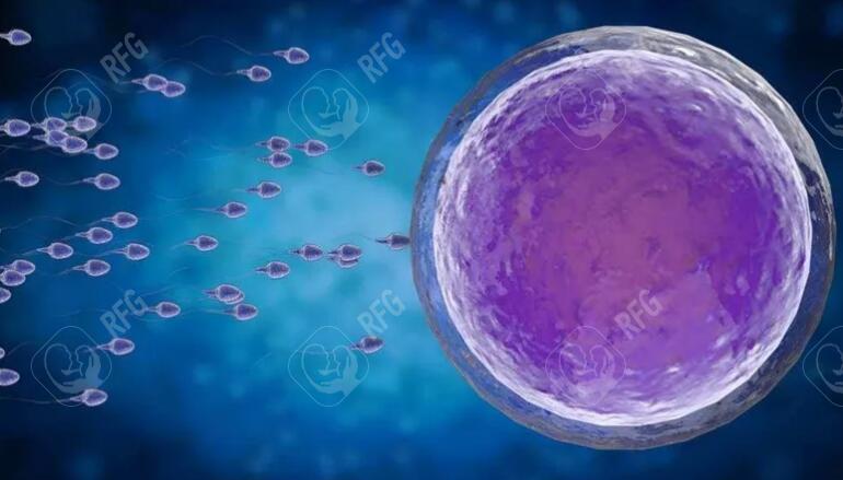 深圳试管婴儿治疗速度快吗？深圳试管婴儿技术更新如何？