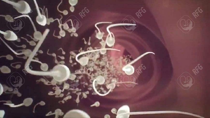 宫腔粘连分离术后，需要注意哪些生活方式来提高试管成功率？
