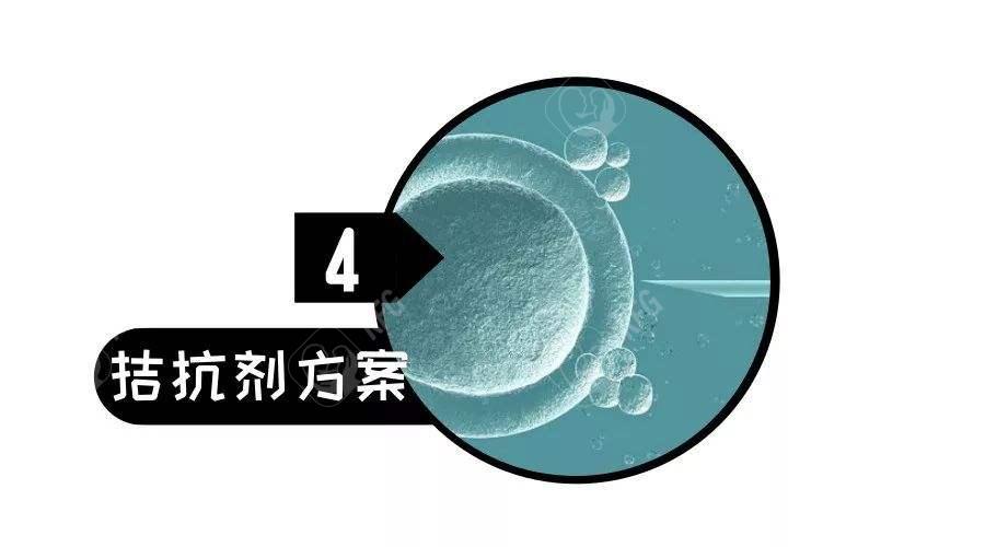 短方案和拮抗剂方案的用药流程是怎样的？