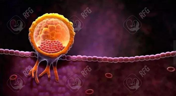 昆明不孕不育医院讲解-如何调理月经以提高怀孕几率?