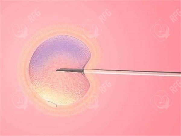2025年在潜江市做试管婴儿费用多少？成功率如何？
