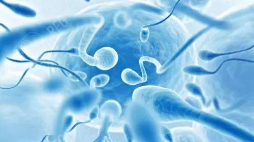 2025杭州做试管前怎么调理使身体达到最佳状态？健康作息时间表