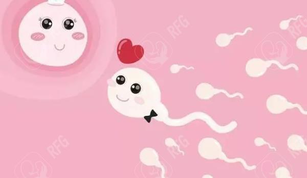 女性在排卵期吃紧急避孕药怀孕的机会大吗?