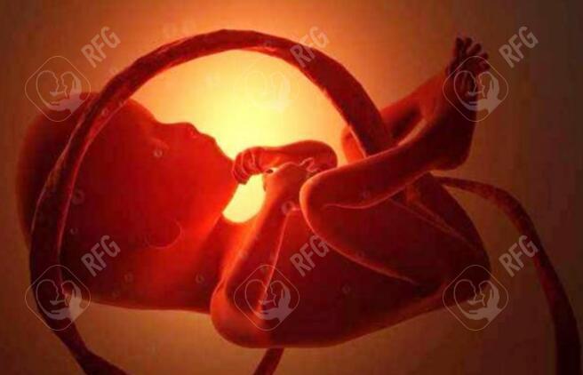宝宝婴幼儿期体质差怎么办？这5大类药物建议常备，必要时可预防