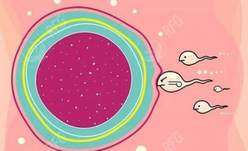 畸形、智力低下，不同染色体缺失的后果不可不知