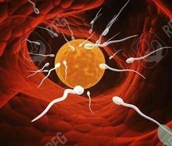 拔牙后多久可以怀孕？医生：最好是伤口愈合后再备孕，以免影响身体健康