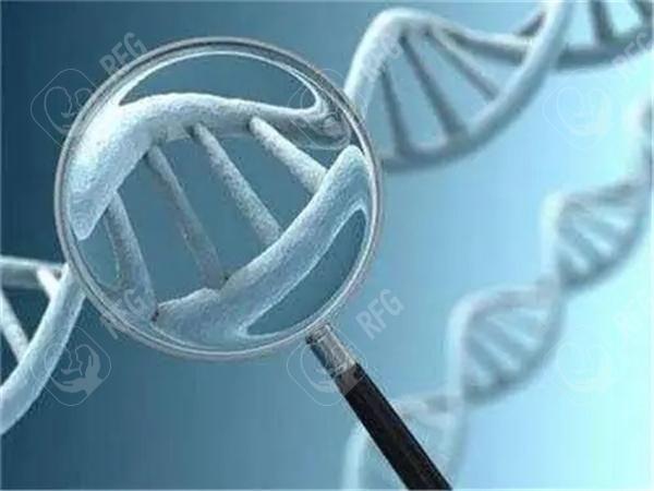 河北省生殖医院做试管婴儿怎么样?河北试管婴儿纳入医保是真的吗?