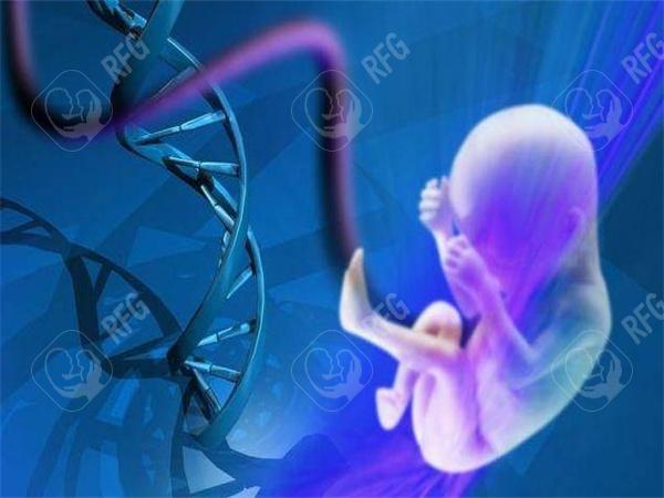 国内医院做试管大概需要多少钱?上海有哪些做试管比较好的医院?