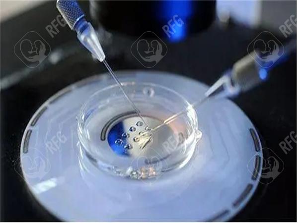 女性反复流产可以选择做试管婴儿吗?做试管婴儿能解决遗传问题吗?