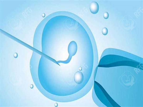 大理第一附属医院试管婴儿成功案例分享，附2025怀孕成功率预估