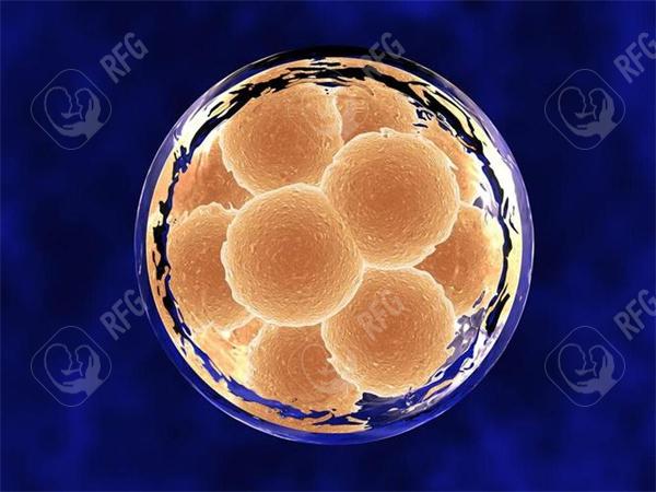 2025年合肥卵巢早衰试管成功率高不高?胚胎移植助孕率达55%是真的吗?