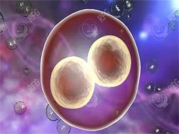 无精子做二代试管的成功率有多高,无精试管婴儿费用大约多少